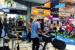 Sonido para grupos centro Comercial Mayorca