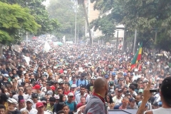 Marcha del Cannabis 6 de mayo 2017