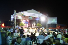 Concierto en Parque Juan Pablo II